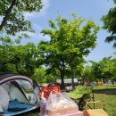 뚝섬한강공원-101 이미지