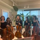 첼로 초급(성인) 이미지