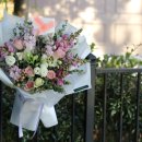 청춘자동세차 이미지