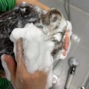 와우콩 | 임산부샴푸 추천 쓰리와우 두피케어 후기 출산선물 샴푸