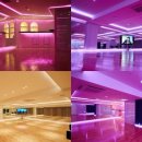 (기초) 댄스스포츠 이미지