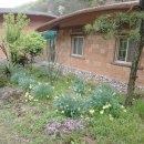 민속한의원 이미지