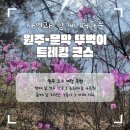 원주굽이길 원4코스 명봉산진달래길 | 자연과 함께 떠나는 원주-문막 뚜벅이 트레킹 코스 추천 :: 성주 항공 경비행기, 동화마을 수목원, 원주...