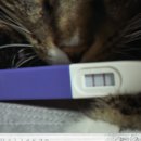 이화에스여성산부인과의원 이미지