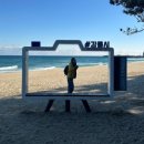 파인아트라벨 | 강릉 '파인아트라벨' 내돈내산 솔직후기 : 가성비 터지는 오션뷰 숙소 추천!