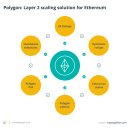 초보자 가이드 폴리곤 블록체인 설명: MATIC에 대한
