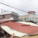 완도17호 이미지