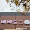 베베도그 이미지