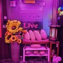 7080현대라이브 네이버블로그