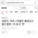 세븐틴, 데뷔 4개월만 美빌보드 월드앨범 1위 등극 '핫' 이미지