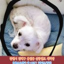 신항셀프세차장