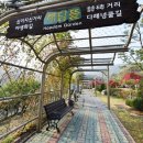 진고을 Daum카페