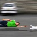 광양동물메디컬센터 이미지