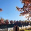 영상강문화공원 이미지