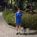 싸이펫 | 오늘 뭐 입지? 아디다스 티셔츠로 펫 캘리 티셔츠랑 커플룩 입기, 구매처, 사이즈, OOTD