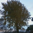 장림윌더하임아파트 이미지