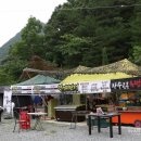 곰비님비 이미지