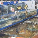 동대전수산 이미지