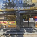 금빛코다리 이미지