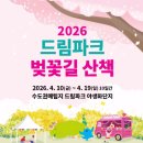 (주)드림스포츠 | 인천 서구 벚꽃 명소 한적한 드림파크 벚꽃길 방문 후기