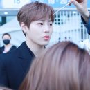 2019 드림콘서트 이미지