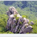 곡성-139 Daum카페