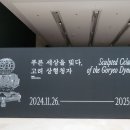 빗다 이미지
