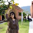 청도레일바이크 이미지