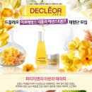 드끌레오 네이버블로그
