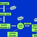 에너지샵 이미지