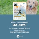 댕댕그라운드 이미지