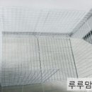 루루하우스 이미지