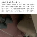 바우하임부동산중개 | 환경 이사청소 가격, 해보면 15년 전문가의 비용과 후기 차이와 이유를 봅니다. 서울,인천,부천,김포...
