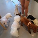 카페몽드 - 청도군 남성현로 348 | 카페몽드