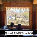 수세차카페 | 산수유 보러 갔던 통도사 산내 암자 극락암 아직은 좀 더 기다려야겠어요.
