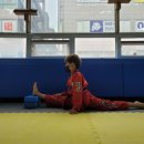 경희대한결태권도 이미지