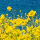 티알트리니티라파엘로청담의원 이미지