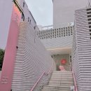 논현동 학동역 카페 추천 브루주아
