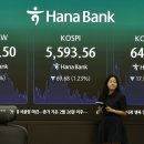환율 최고 기록..원화, 코스피 변동성 지속 속 5개월 만에 최고치 경신 이미지