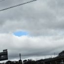 피노펠리즈 이미지