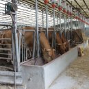 순일농장 이미지