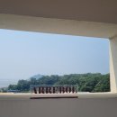 아레볼 이미지