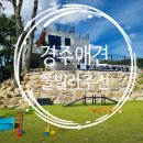 258 | 경주 신상 풀빌라 애견펜션 [포레스트258] 만족후기
