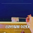 신라포차 | 경주 감포 횟집 추천 신라의달밤 이견대 포차 바다뷰 모둠회 우럭탕 후기