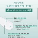 주식회사 데일리영 | 🏷️ 올리브영 출시 전 블라인드 테스트- ‘밤티크림’의 브랜드와 제품을 맞혀보자🤔(+ 후기)