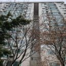 예술인아파트 이미지