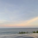 미아약국 이미지