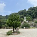 반야사불상 이미지