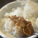 돌솥순두부