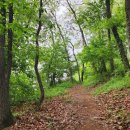 노고봉산성과 애기바위산성 | [세종명산] 전설 따라 봄날 산책길 걷는 세종 부강 노고봉 산행